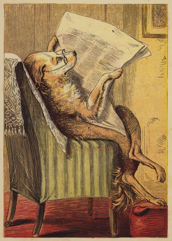Old Mother Hubbard by English School