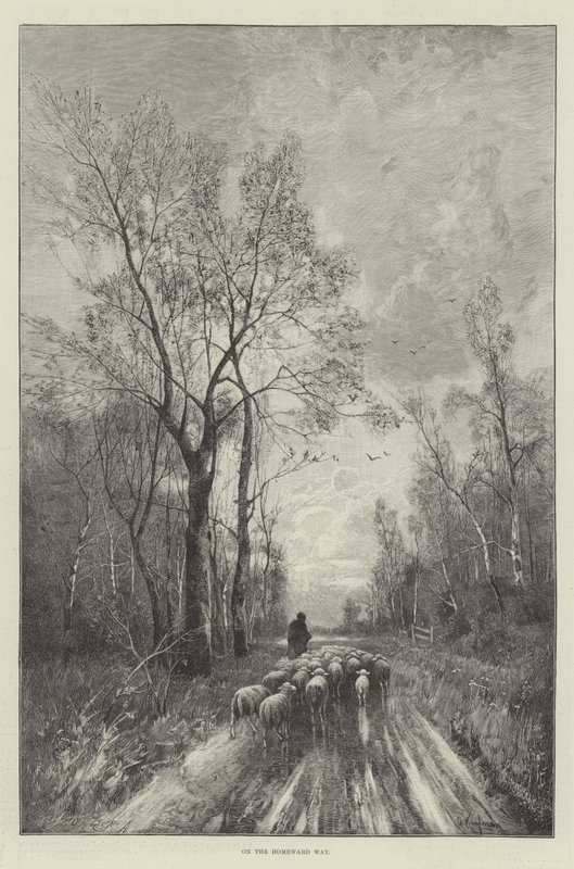 On the Homeward Way by English School