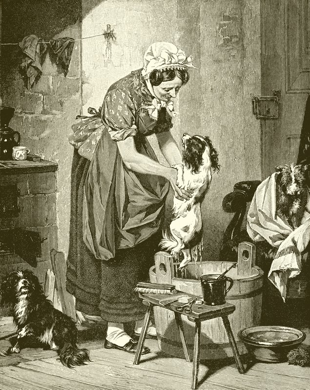 Order of the Bath by English School
