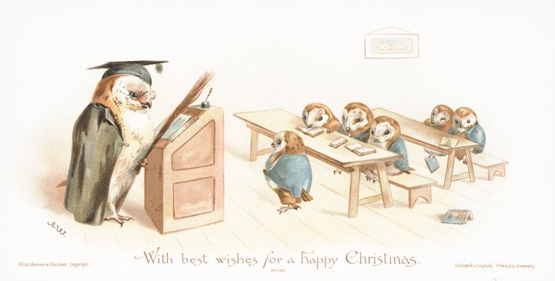 Owl Teaching Owlets in Classroom by English School