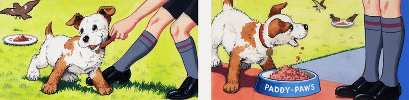 Paddy Paws by English School