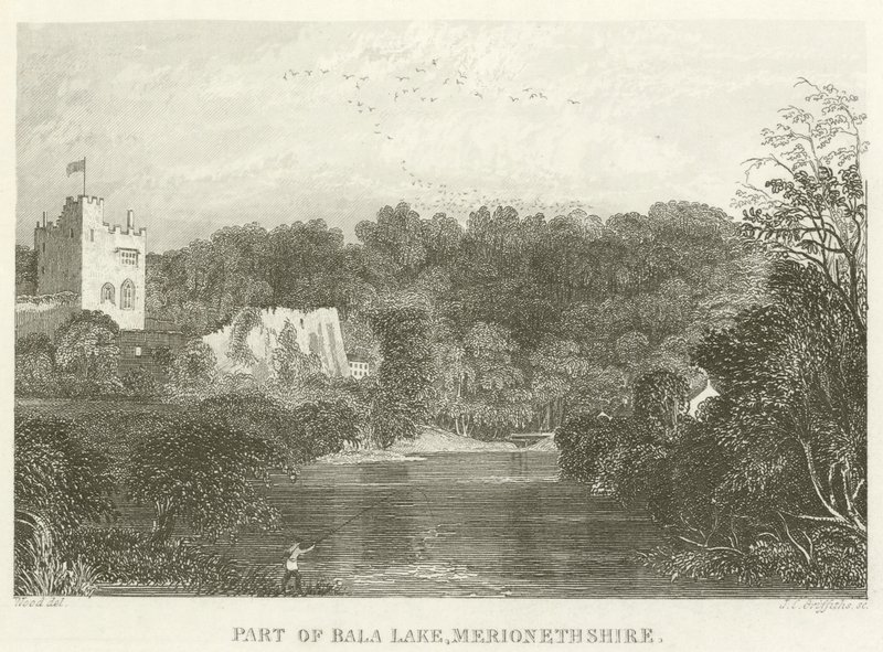 Part of Bala Lake, Merionethshire by English School