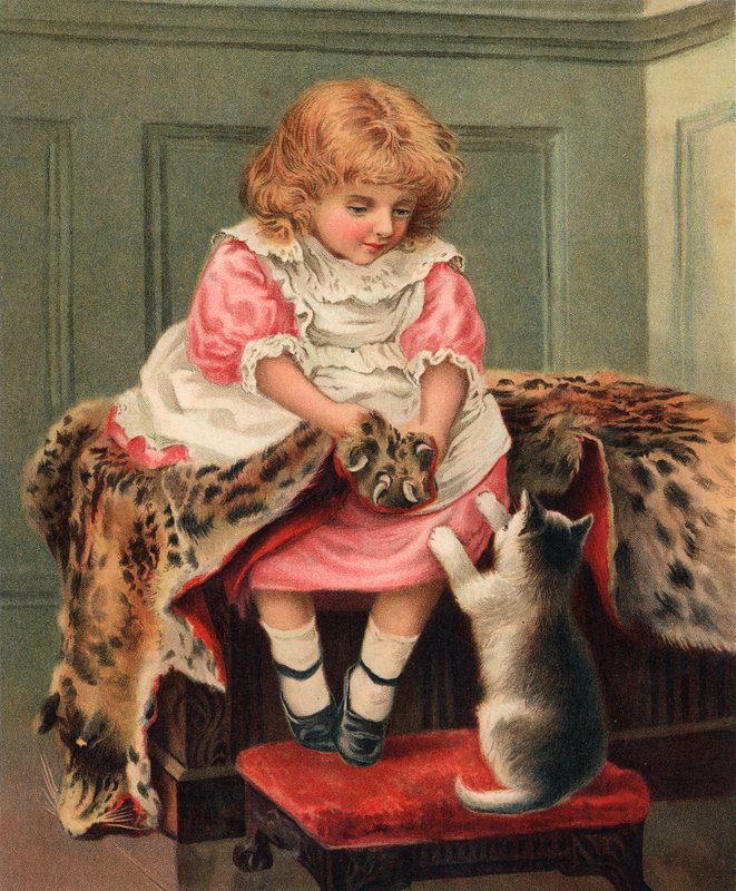 Paws and Claws by English School
