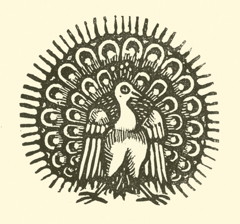 Peacock by English School