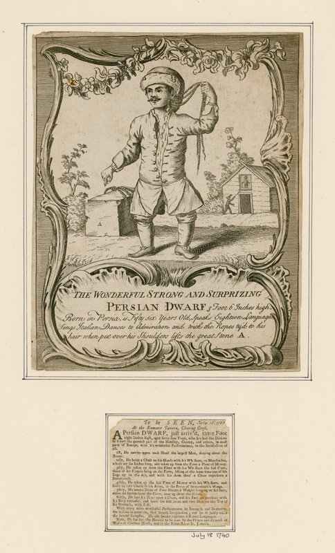 Persian Dwarf by English School