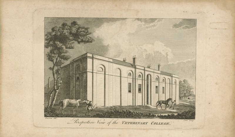 Perspective View of the Veterinary College by English School