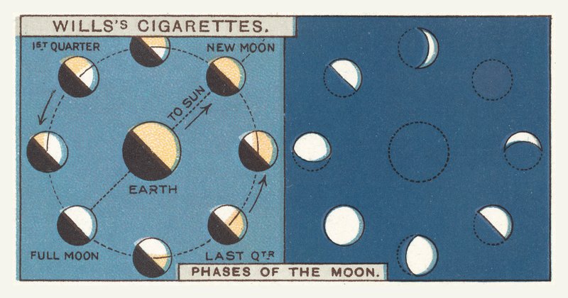 Phases of the Moon by English School