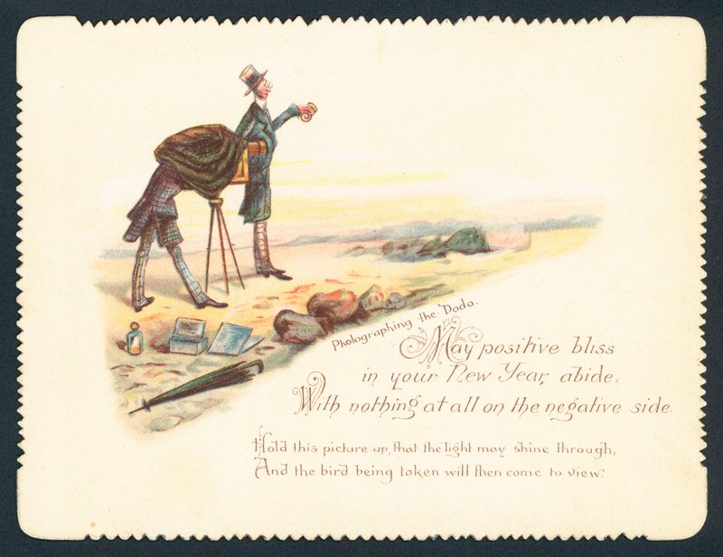 Photographing the dodo by English School