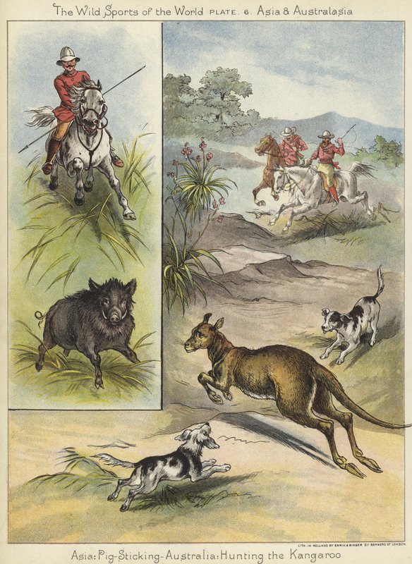 Pig Sticking and Hunting the Kangaroo by English School