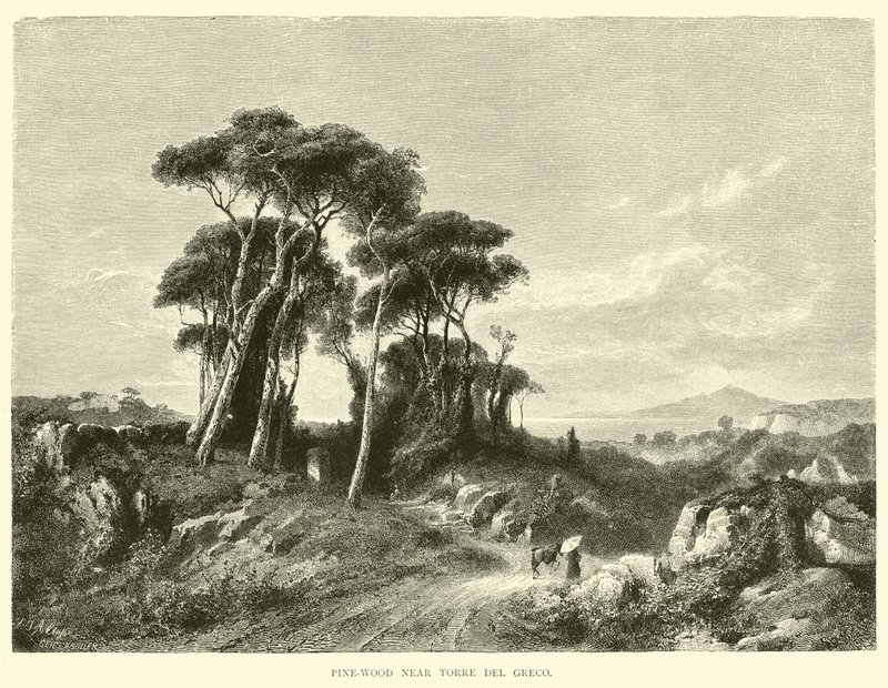 Pine-wood near Torre del Greco by English School