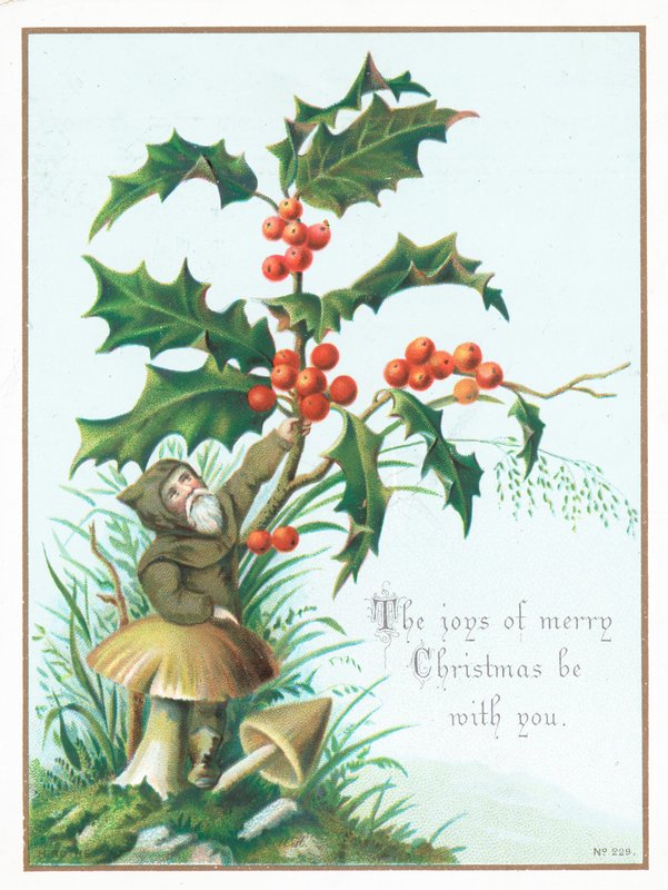 Pixie picking Holly by English School