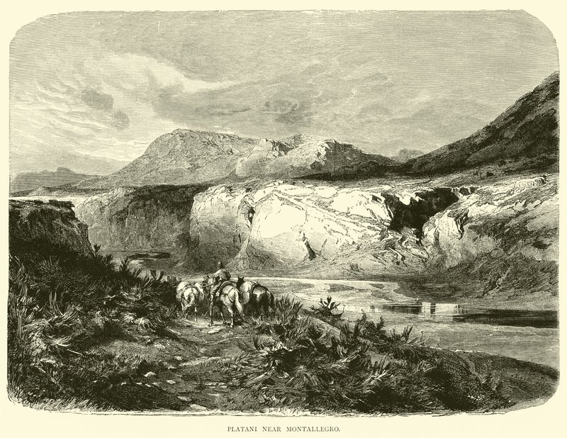 Platani Near Montallegro by English School