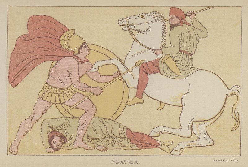 Platoea by English School