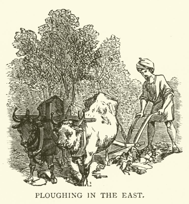 Ploughing in the East by English School