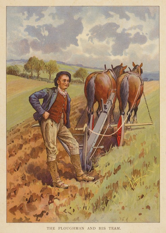 Ploughman and His Team by English School