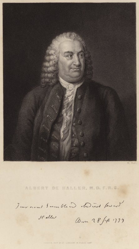 Portrait of Albert de Haller by English School
