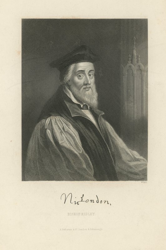 Portrait of Nicholas Ridley by English School