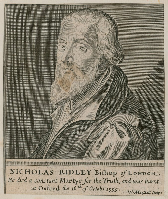 Portrait of Nicholas Ridley by English School