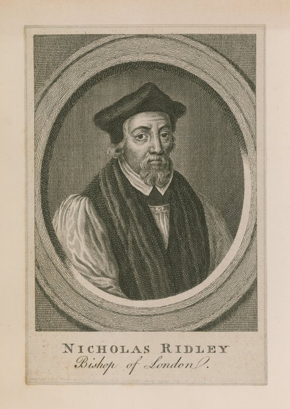 Portrait of Nicholas Ridley by English School