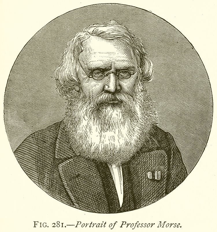Portrait of Professor Morse by English School