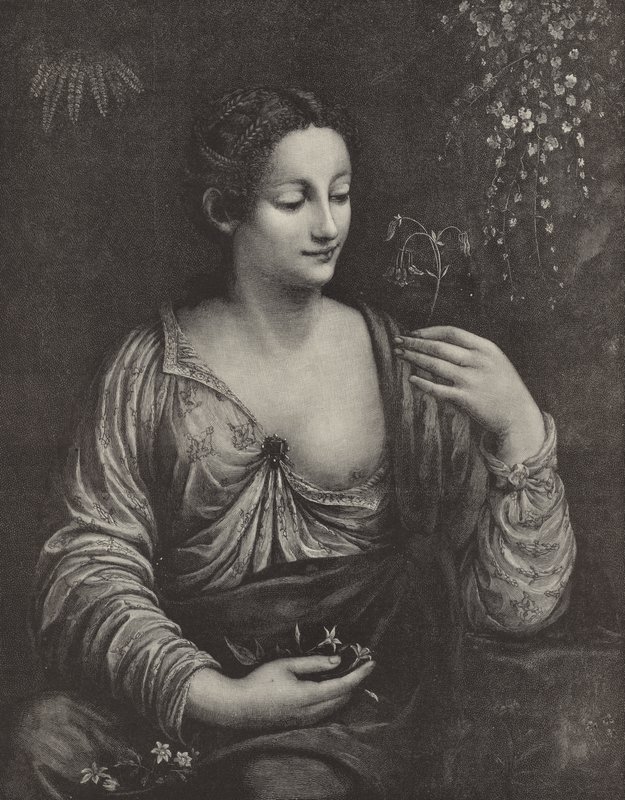 Portrait of a Young Lady by English School