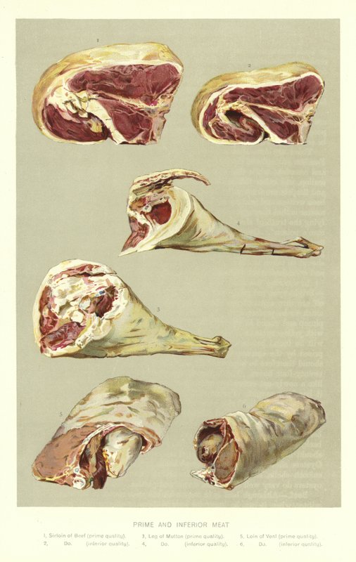 Prime and Inferior Meat by English School