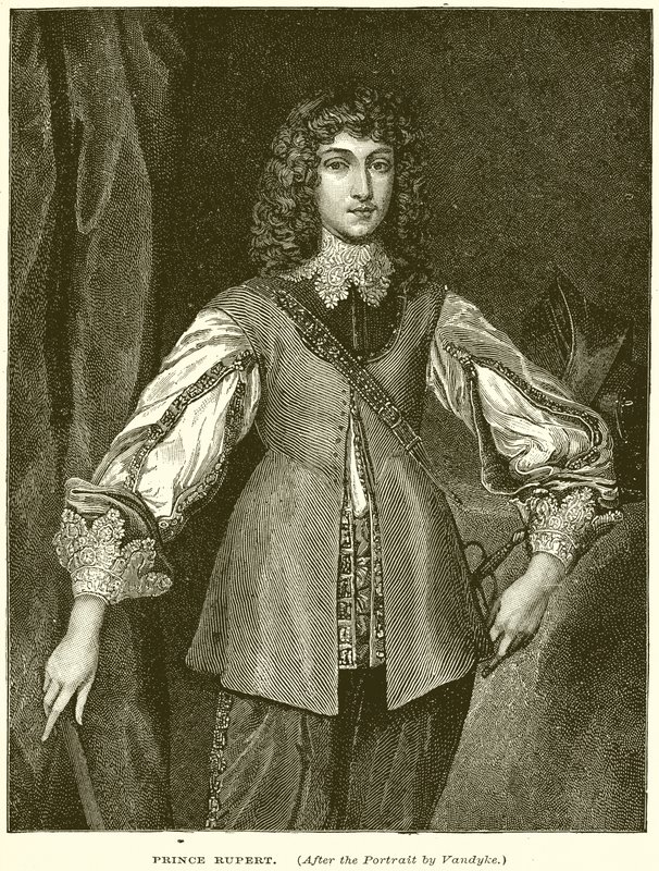 Prince Rupert by English School