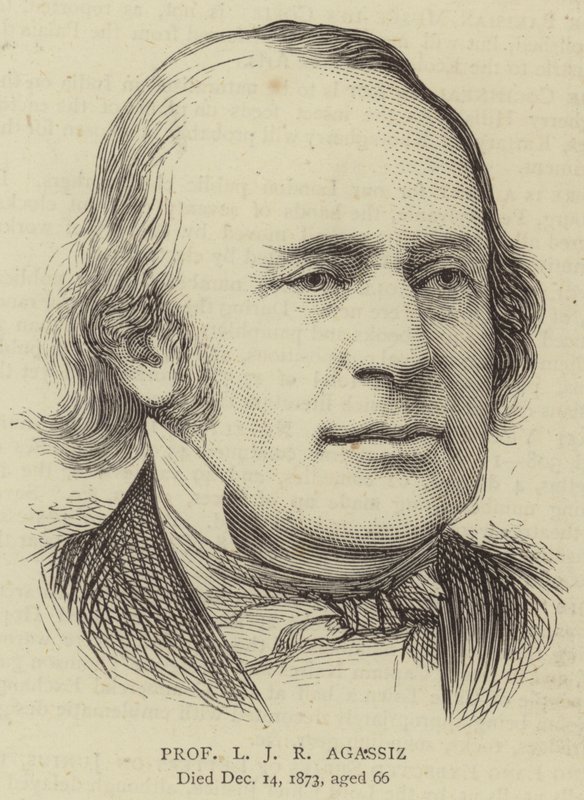 Professor L J R Agassiz by English School