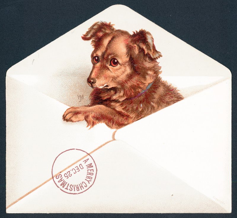 Puppy in Envelope by English School