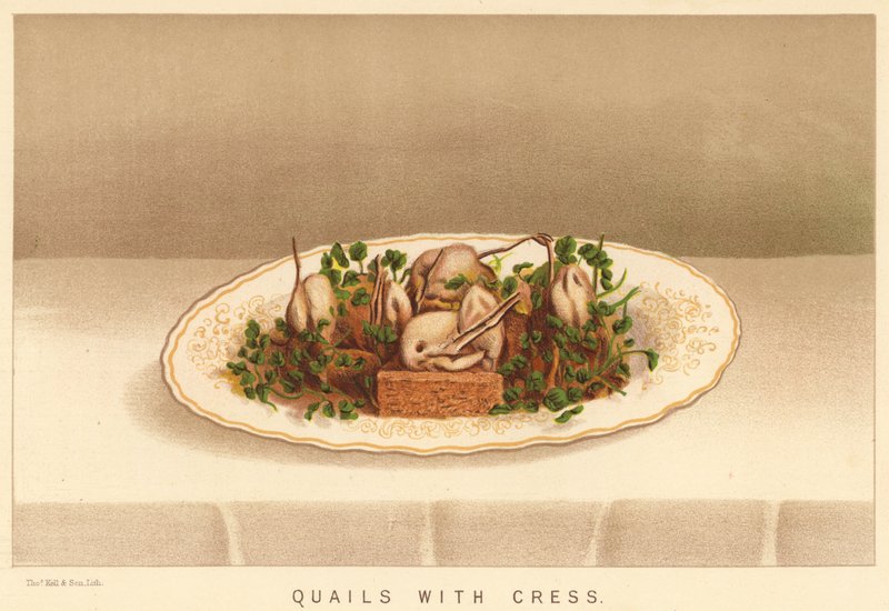 Quails with Cress by English School