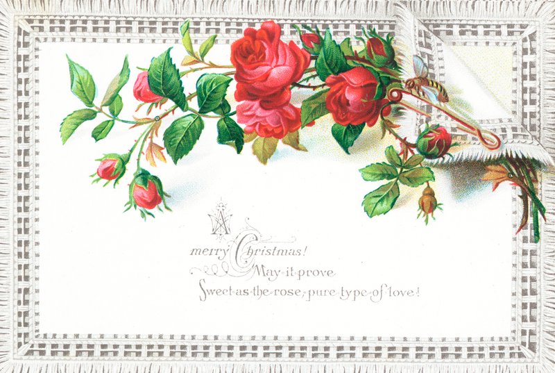 Red Roses and Butterfly by English School