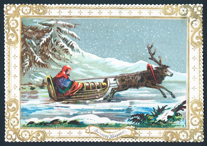 Reindeer pulling sledge by English School