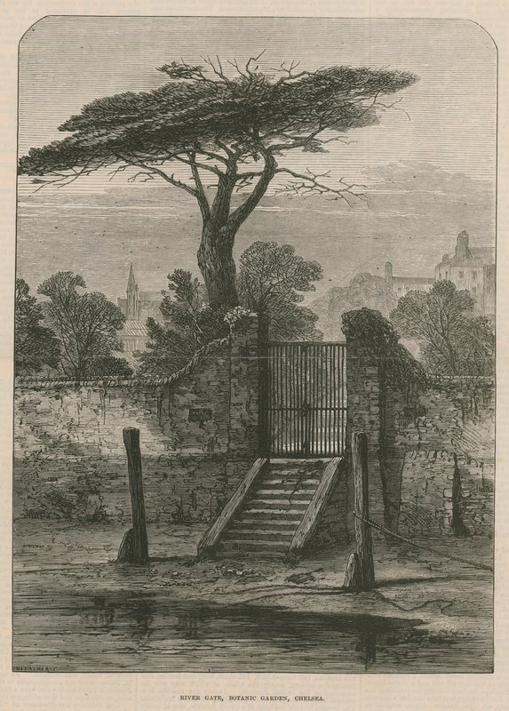 River Gate of the Botanic Garden by English School