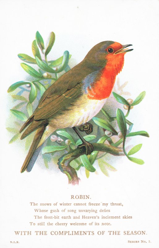 Robin Singing on Branch by English School
