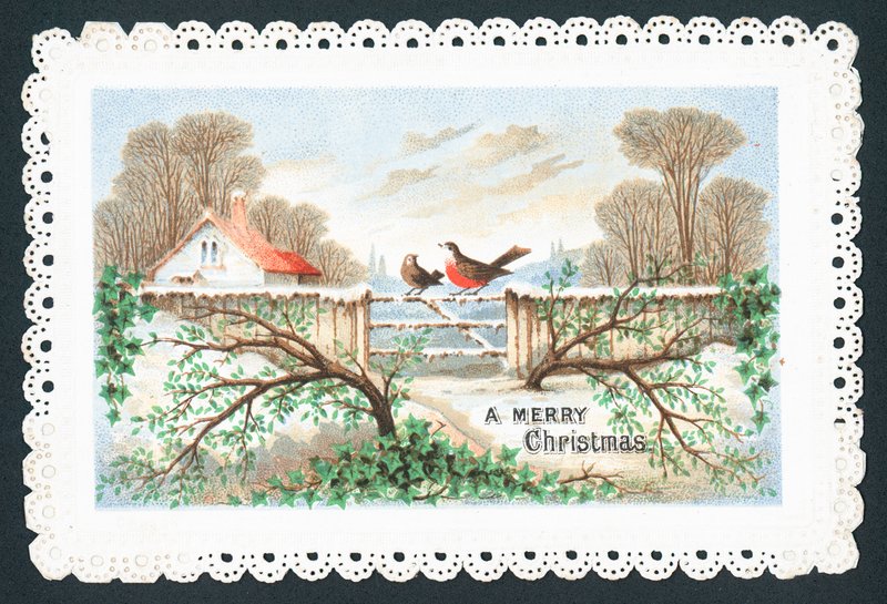 Robins sitting on gate by English School