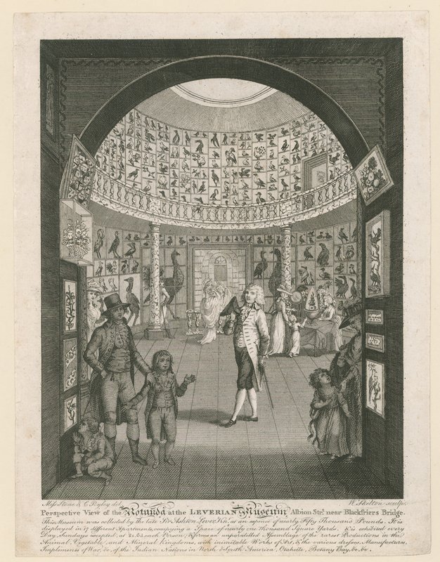 Rotunda at the Leverian Museum by English School