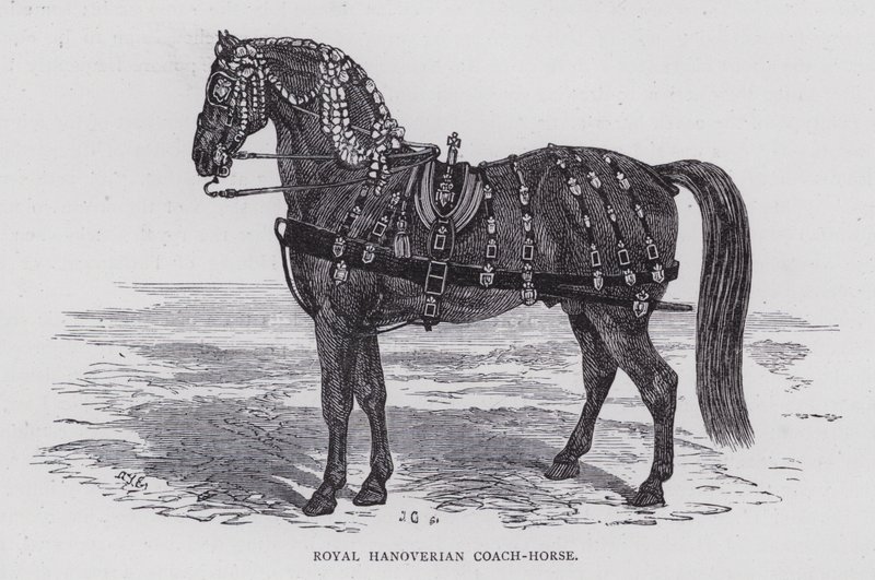 Royal Hanoverian Coach-Horse by English School