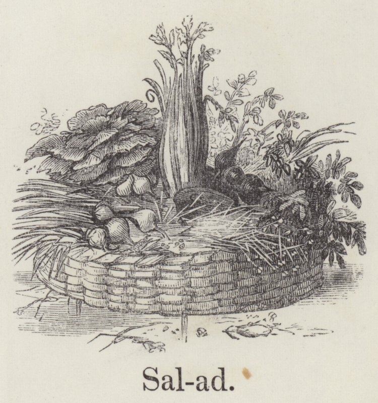 Salad by English School