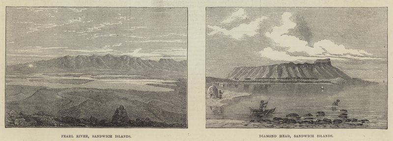 Sandwich Islands by English School