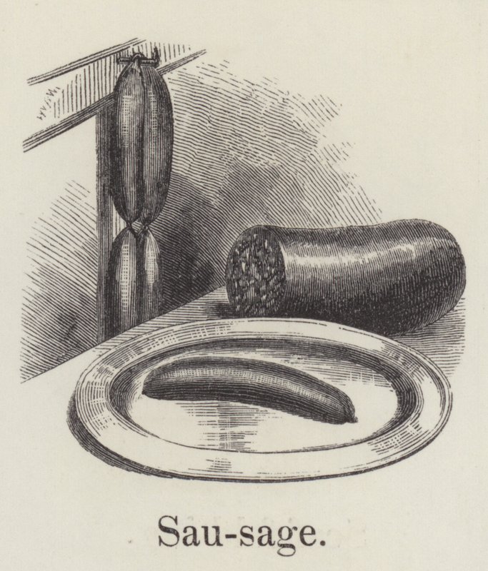 Sausage by English School