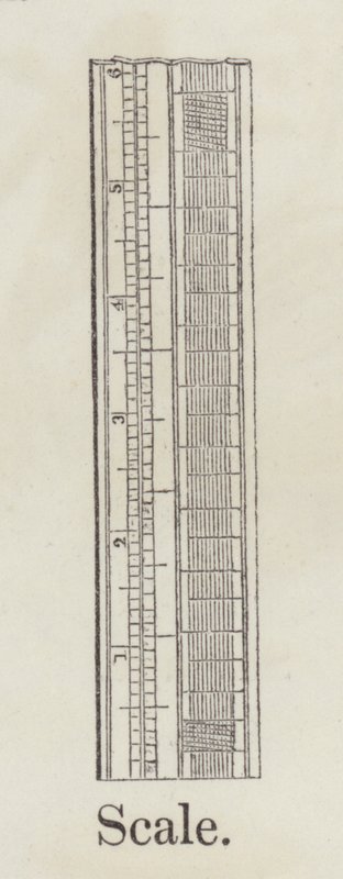Scale by English School