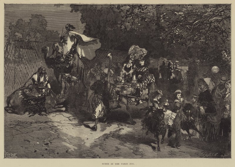 Scene in the Paris Zoo by English School