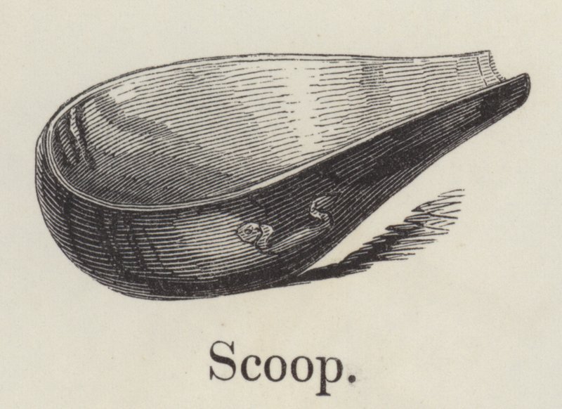 Scoop by English School