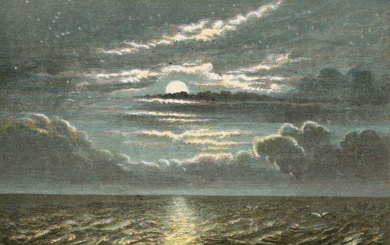 Sea at night with full moon by English School