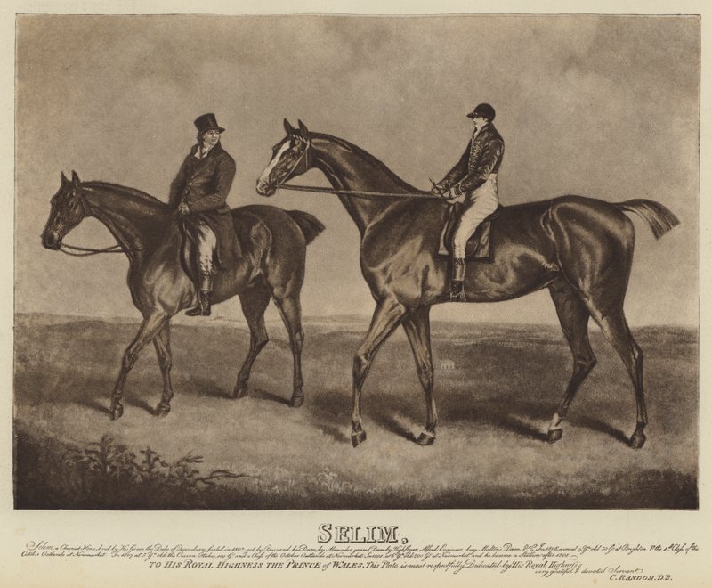Selim by English School
