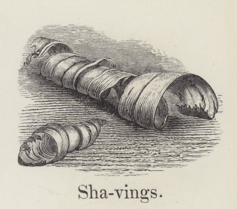 Shavings by English School