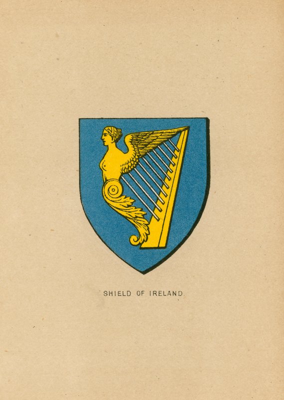 Shield of Ireland by English School