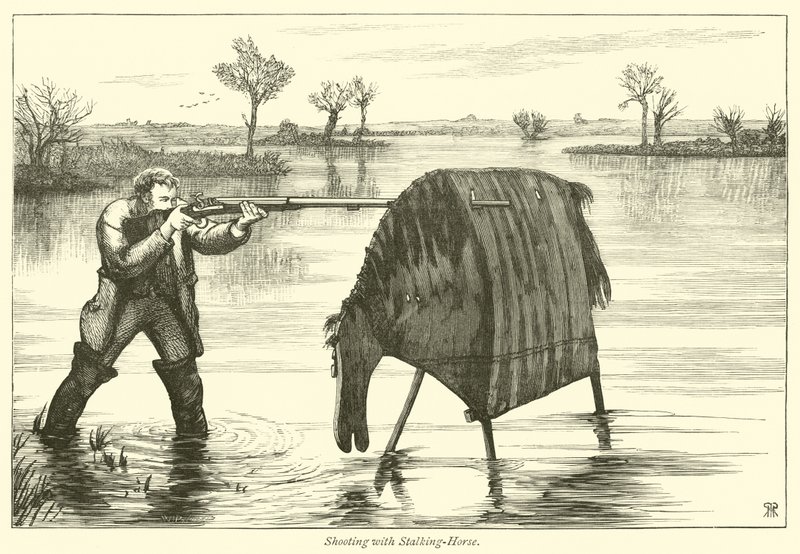 Shooting with Stalking-Horse by English School