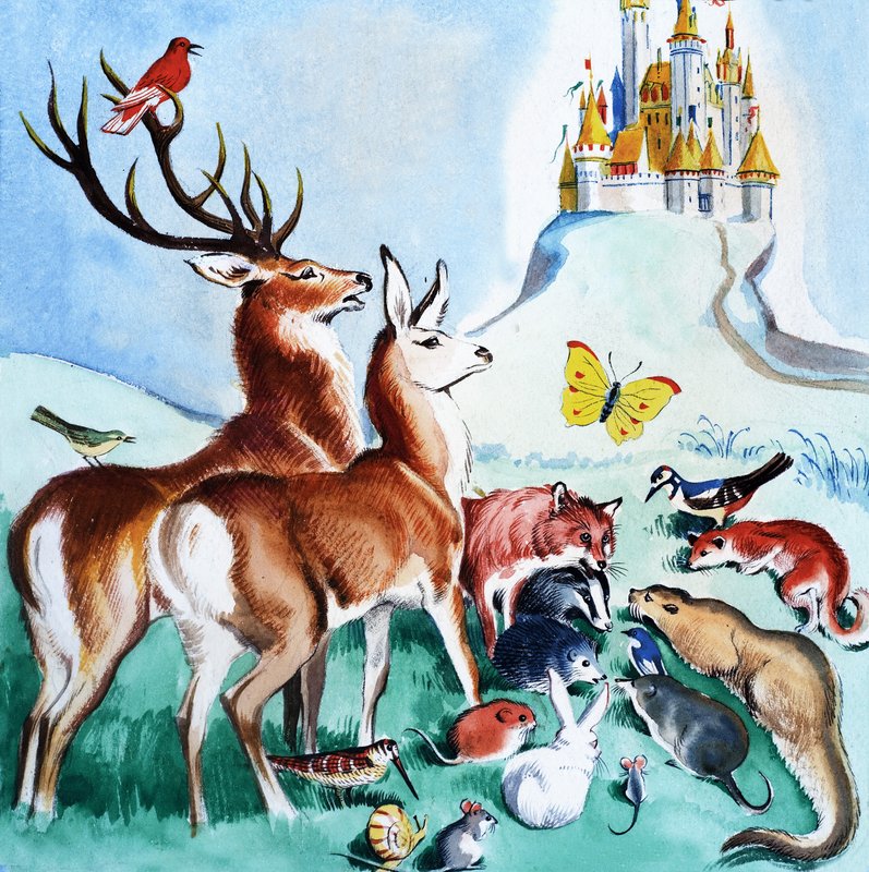 Should They Go to the Castle by English School