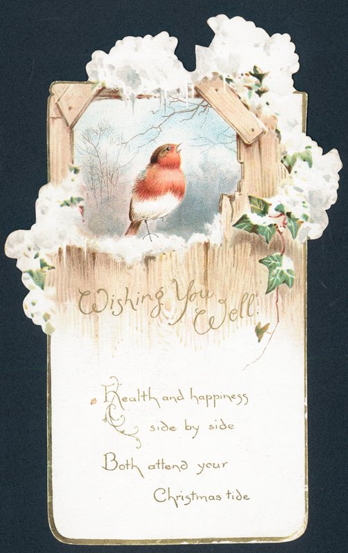 Singing Robin by English School